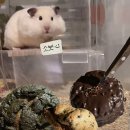 덕소로2번길 | 🍞 소보로 좋아하면 무조건 가야 하는 곳! 남양주 덕소 ‘소보심’ (솔직 후기 )