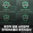내 보험 이대로 괜찮을까? 한국 DNA 밸리 유전자 검사 솔직 후기: 치매, 암 위험도 체크