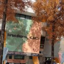 허&리병원 | [공지] 내 인생 첫 콘서트로 우즈 콘서트 갔다온 후기 2025 WOODZ PREVIEW CONCERT : index_00