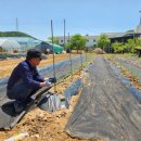 사기소2통마을회관 이미지