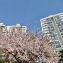 윤이비인후과의원 이미지