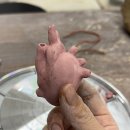 해진식당 | 26년 3월 : 근력 +0.3kg로 ‘개강’해진 나•••(스압주의)