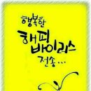 해피바이러스 이미지