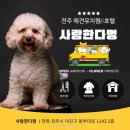 사랑한다, 멍 네이버블로그