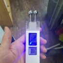 포레시스