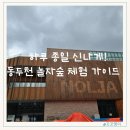 놀자 | 아이랑 하루 종일 놀기 딱! 동두천 놀자숲 생생 후기