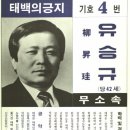 13대총선출마 주요후보자 벽보(1)＜선거벽보전시관＞준비자료 이미지