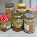 어느 따뜻한 겨울날, 궁평항 투어 후기 (+돌아온 너구리)