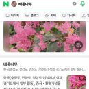 광덕사 | 천안 &#34;광덕사&#34; ◆대웅전◆석사자◆삼층석탑 ◆명부전 ◆천불전 ◆호두나무 시배지