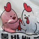 인계동 치킨맛집 &lt;불아더 숯불바베큐 수원직영점&gt; 두마리 세트 포장 후기