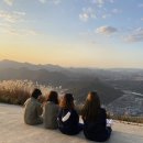 스카이패러 이미지