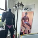 바디팰리스짐 이미지