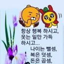 ♤성숙한 삶♧ 이미지