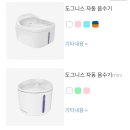 니스인터내셔날 이미지