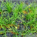 덕연농장 이미지