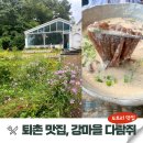 태허정로 | 팔당호가 보이는 퇴촌 맛집 강마을다람쥐｜도토리 전병과 들깨 칼국수 후기