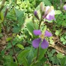 연인산스토리 이미지