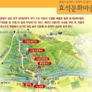 09월08일 봉평 메밀꽃축제&대관령양떼목장 테마여행 이미지