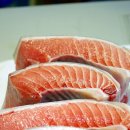 싱싱참치 이미지