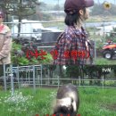 승리목장 네이버블로그
