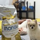 모노퍼피 | 몬지 모노프로틴 치킨 올브리드 솔직후기! 내돈내산🐾(알러지/기호성/급여량)