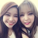 솔라씨