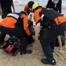 고성 화진포콘도 앞 해변서 일가족 구조한 2명 심정지 이미지