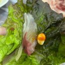 100번횟집 이미지
