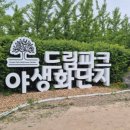 드림파크 이미지