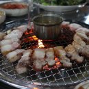 제주돈돼지 Daum카페
