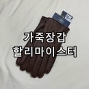 골프장갑 할리마이스터 사슴가죽장갑 Mures 후기