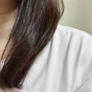 올리브영 세일 추천템 박준뷰티랩 PPT 단백질 트리트먼트 솔직후기
