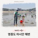 그늘막118 | 아이와 가기 좋은 서울 근교 갯벌 추천 ‘영종도 마시안 해변’ 준비물, 물때 정보