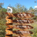 계곡따라가는길 이미지