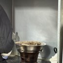 영동빌딩 | 안산중앙동곱창 맛집ㅣ낮술하기 좋은 영동곱창 후기