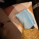 823 | 에티하드항공 타고 아부다비공항 경유해서 스페인 바르셀로나로! EY823 EY111 탑승 후기