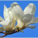 장승공원 이미지