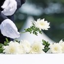 경북 보건의료원(장례식장) 경북일보