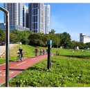 (주)세동