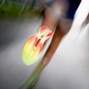 Motors Lab 이미지