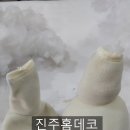 모아수선 - 전주시 완산구 봉곡로 41 | 애착인형 수선 택배가능한 부산 진주홈데코 악어인형 수선후기