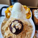 설빙충북