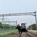 김유정역 | [춘천] 김유정역 폐역 솔직 후기 (잠깐 들르기 좋은 감성 스팟)