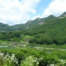 초원민박 이미지