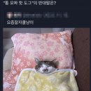 쀼 이미지