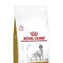 로얄펫동물병원 이미지