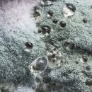 유일크리닝 이미지