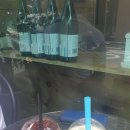 닛시원두볶는집