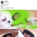 이재용, 재수감 207일만에 가석방.."경제상황 고려"(종합) 이미지