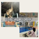 국립부산과학관 천체투영관 | 기장 아이랑, 국립부산과학관 상설전시관 &amp; 어린이과학관 &amp; 천체투영관 후기 (feat. 3살&amp;4살 연년생...